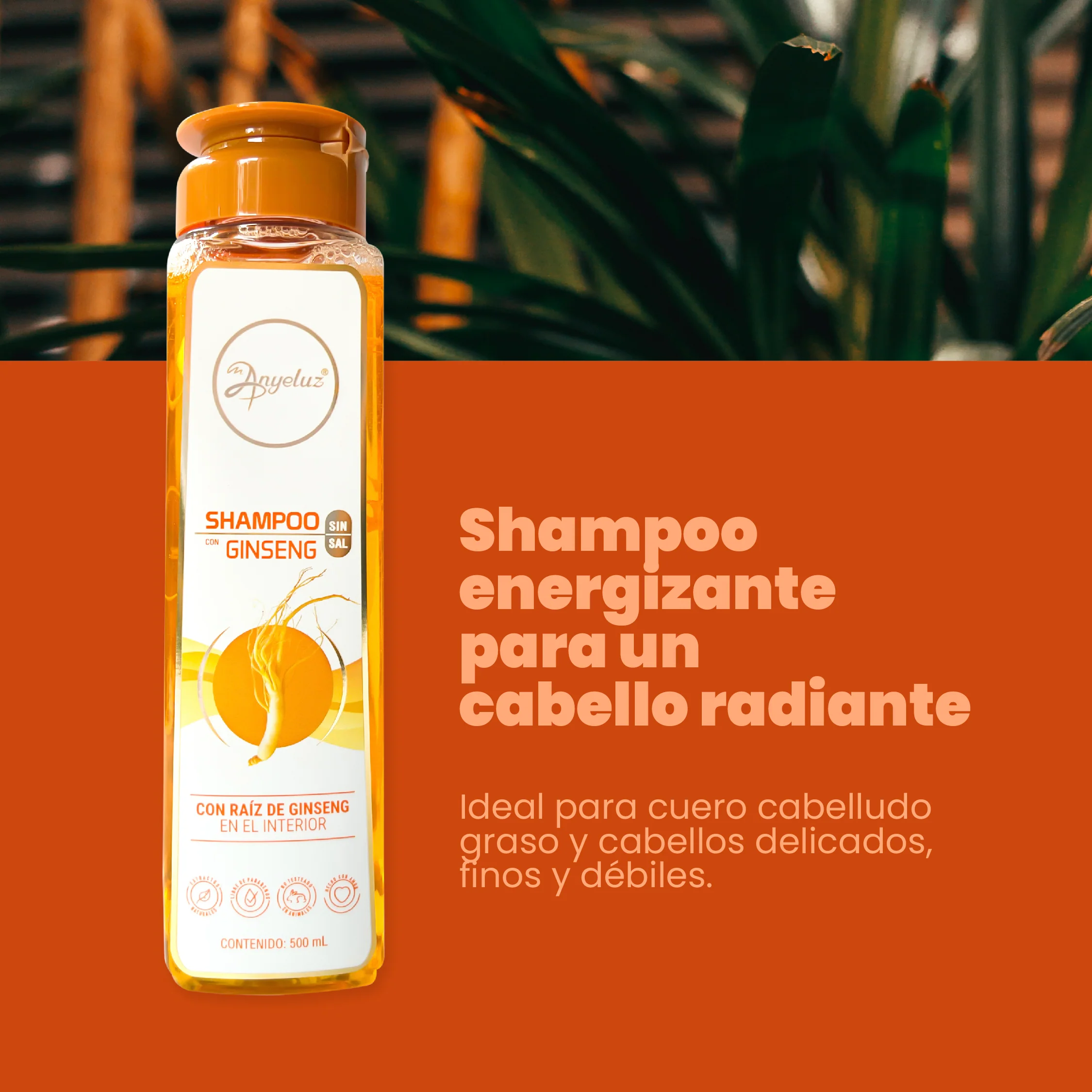 SHAMPOO CON GINSENG ANYELUZ - Imagen 2