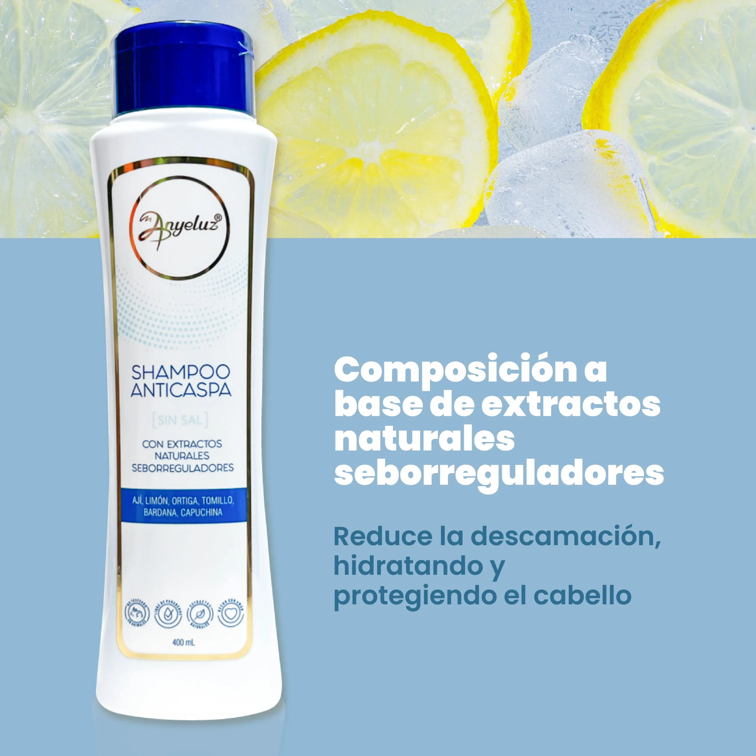 SHAMPOO ANTICASPA - Imagen 2