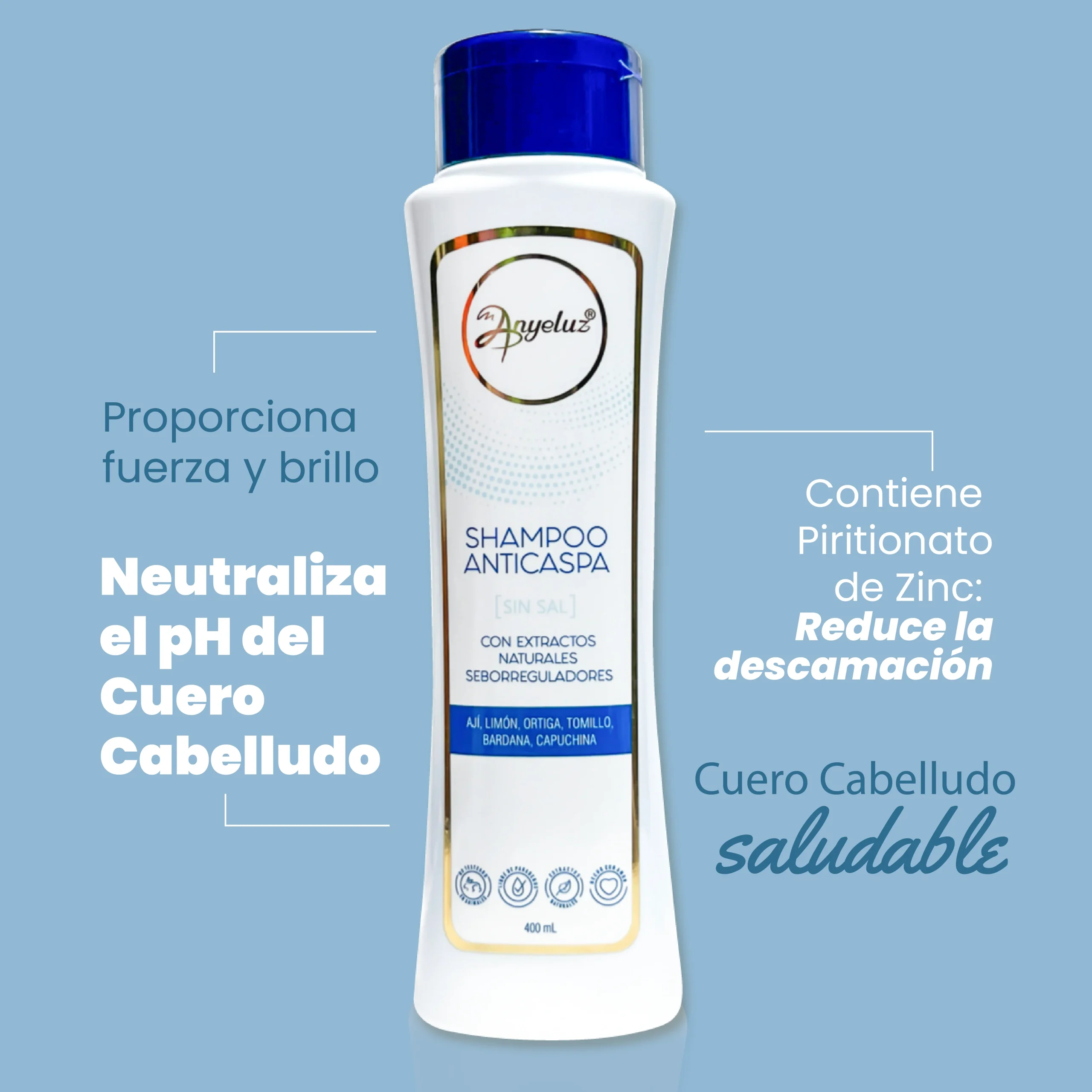 SHAMPOO ANTICASPA - Imagen 3